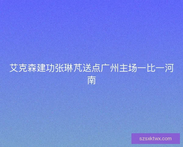 艾克森建功张琳芃送点广州主场一比一河南